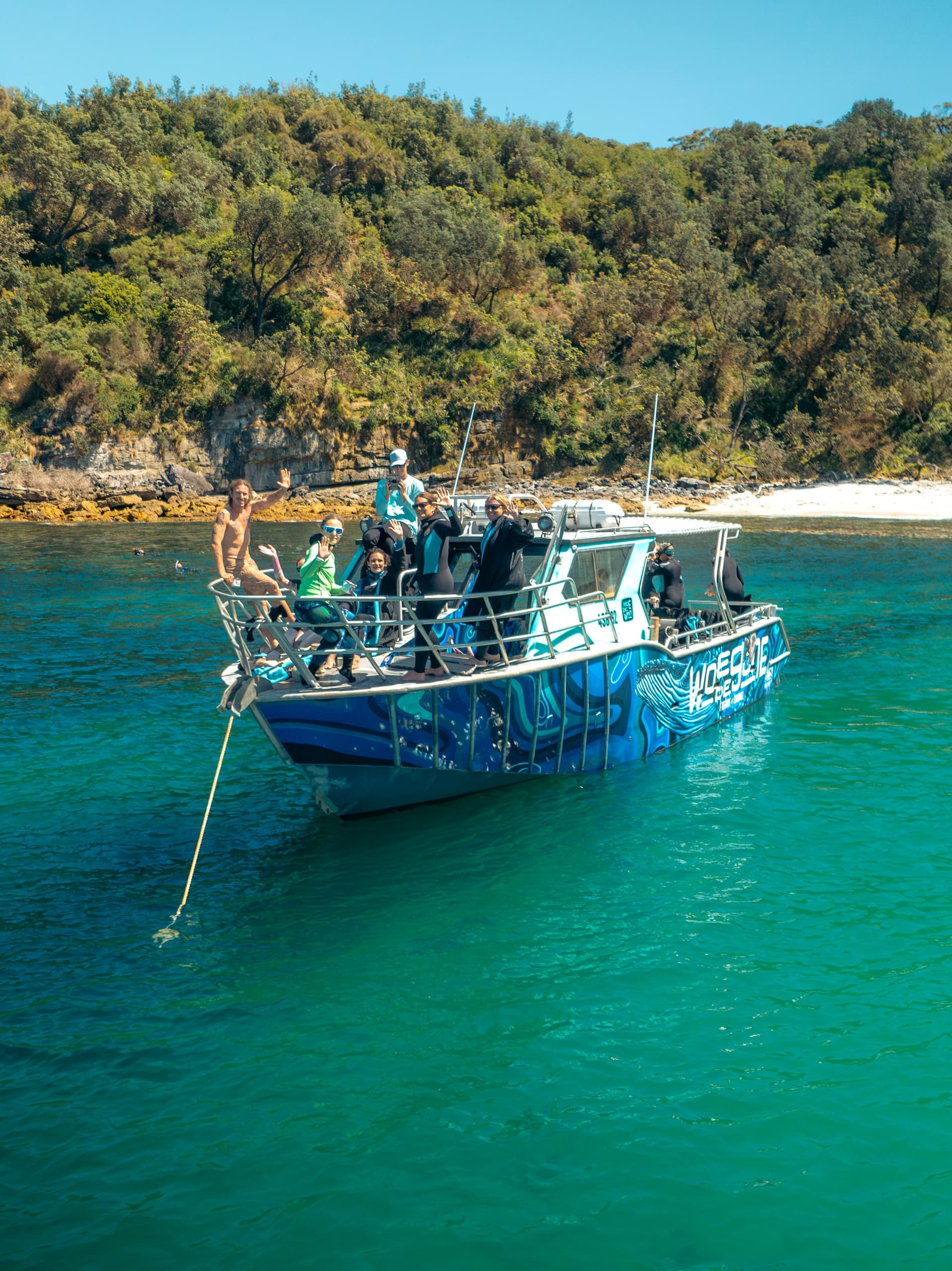 Jervis Bay 5-6小时与座头鲸水下同游探索之旅｜ 终极海洋体验（英文团） - 图片 12