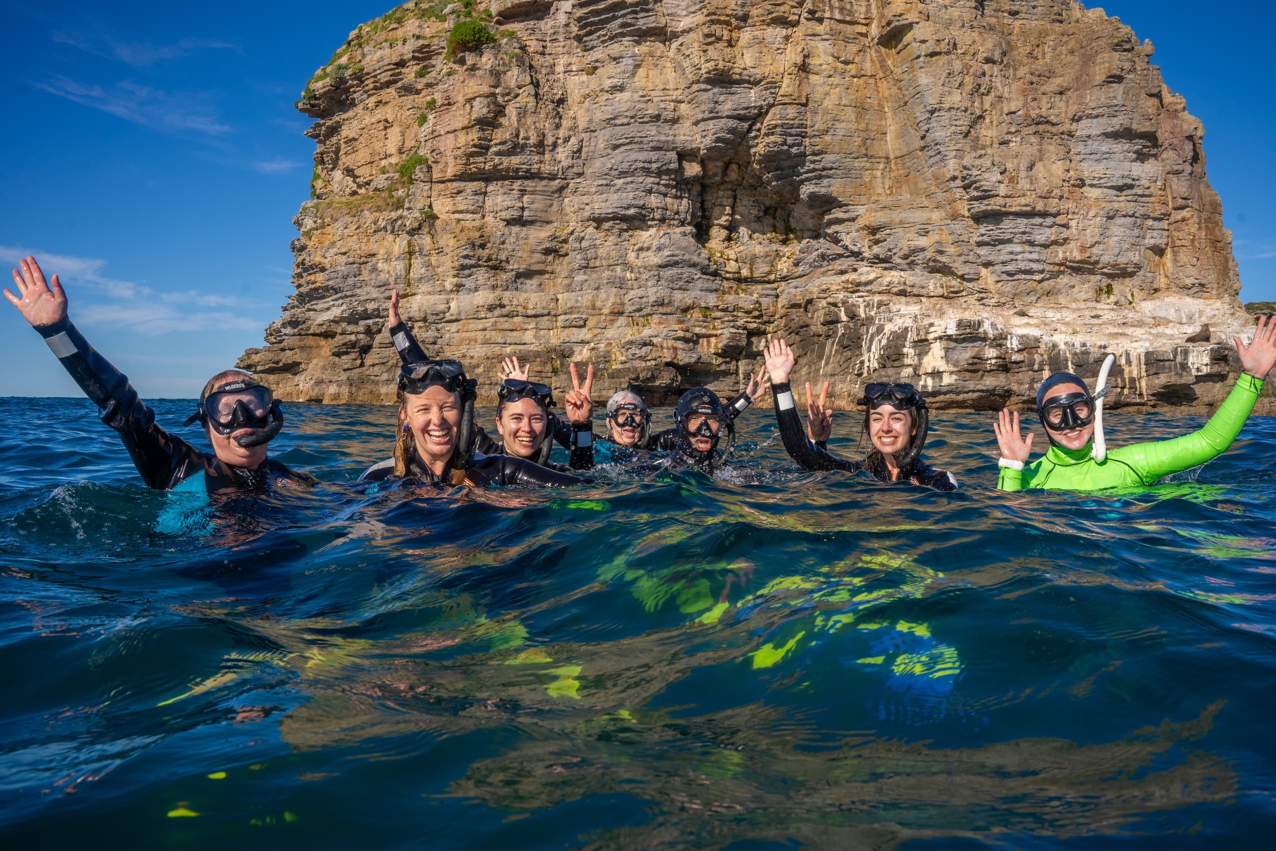 Jervis Bay 5-6小时与座头鲸水下同游探索之旅｜ 终极海洋体验（英文团） - 图片 13